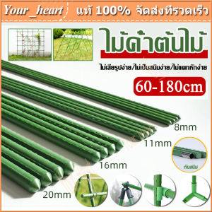 เสาไม้เลื้อย กระกางต้นไม้ ไม้ค้ำต้นไม้ 5 แท่งในห่อ หลักไม้เลื้อย เสาต้นไม้ ยาว 60-180 ซม. หนา 8-20 มม. ไม้ค้ำยันต้นไม้ ค้างต้นไม้ ซูมต้นไม้