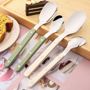4pcs Acrylic Clip Stainless Steel Handle Spoon Set Mirror Dinner Spoon Tableware Western Dessert Coffee Spoon Kitchen Cutlery