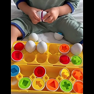12PCS Matching Egg Toys Color & Shape Recoginition Sorter Puzzle for Toddler Early Learning Educational Montessori Gift for Baby