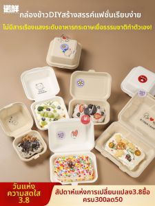 NUOXIAN | Eco-friendly Degradable Food Packaging Box