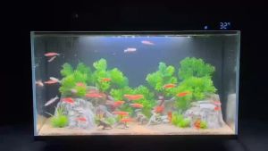 Aquarium Landscape Decorations - Fish Tank Landscape Decoration Accessories Rockery Flowers and Trees Landscape for Aquarium Reptile Betta Fish