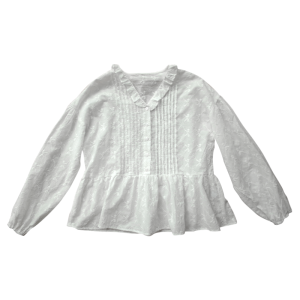 Pure Cotton Long Sleeve Embroidered Shirt Womens V-neck Loose Fit Fashionable Korean Style Spring Autumn New Arrival