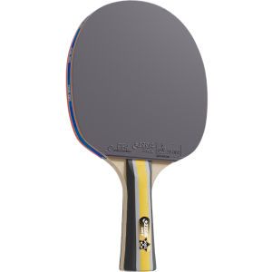 DHS | Professional Grade Elementary School Student Use Ping Pong Paddle