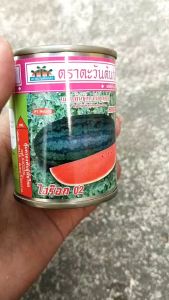 แตงโม ตอปิโด ไฮร๊อก 02 หมดอายุ09/2569 ขนาด 40 กรัม ตะวันต้นกล้า ไฮรอค งอกดี ทรงยาวรี ผิวเขียวเข้ม ติดผลดก น้ำหนัก 4-6 กิโลกรัม อายุ 60 วัน npkplant