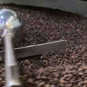 T&B Coffee Beans 1kg