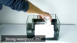 WAHA 1000W true wattage-high brightness original solar light outdoor waterproof solar light indoor solar flood light
