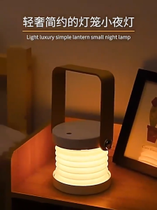 SG Night Light Table Lamp LED Touch Dimmable Deformable Reading Portable Lantern Lamp USB