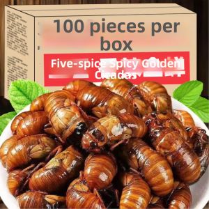 Fresh Ready-to-eat Spicy Cicada