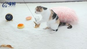 Cat Toy Interactive Feather Teaser Wand Stick w/ Bell