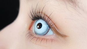 HD53 Soft a Kontak Warna Anime Role Playing Game Kostum Halloween Seri Mata Normal Korea