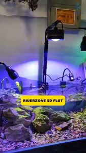 Đèn lon Flat xoay 360 độ độc đáo Riverzone ánh sáng RGB hoặc Trắng có sẵn giá treo cho bể cá thủy sinh bể suối