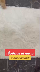 เสื้อยืดห่านขาวแท้ คอกลมสีพื้น เนื้อผ้านิ่ม ไร้ตะเข็บ ไม่หด ไม่ย้วย(H01)