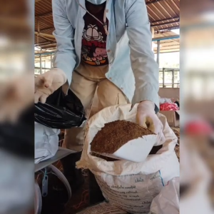 ขี้วัวแห้ง ปุ๋ยกระสอบ10โล ปุ๋ยมูลวัวตากแห้ง ปุ๋ยสำหรับพืชทุกชนิด ปุ๋ยใส่ต้นไม้