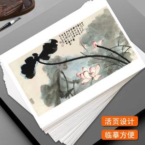 32 Lá Thẻ in Cao Cấp Của Zhang Daqian Hoa Sen Trung Quốc Nghệ Thuật Truyền Thống Mực Nước Họa Tiết Đơn Giản Hướng Dẫn Cơ Bản Cho Người Mới Bắt Đầu