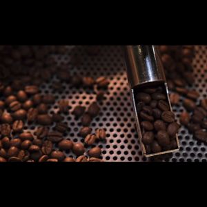 กาแฟคั่วบด ดอยปางขอน อาราบิก้า แท้ 100% Size A-AA PANGKHON เมล็ดกาแฟคั่วบด Size A-AA Arabica 100%