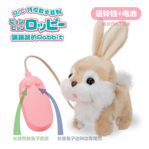 Đồ Chơi Chó Điện IWAYA Điều Khiển Dây Chó Con Thỏ Pomeranian Chó Con Shiba Đồ Chơi Động Vật Điện Tử Cho Trẻ Em Từ 3-14 Tuổi