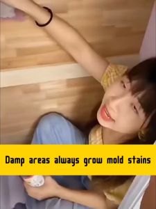 🔥Wall mold removal🔥(500ml) Tile Cleaner Antibacterial Mildew Removal Spray Cleaner Mildew Spot Stain Removal Bleach Multi-Functional Mold removal Kitchen Bathroom Wall Mold 墙面除霉剂 木材除霉剂