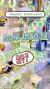 【READY-STOCK】Hamster DIY Tunnel Connecting Tube Small Pet Accessories 5.5cm Connector Pipe Hamster Amusement Tube Toys 仓鼠管道 仓鼠外接玩具 仓鼠玩具 仓鼠外接管道 仓鼠隧道 仓鼠外接隧道