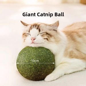 YOULE | Extra Large Matatabi Silvervine Cat Ball Entertainment Teething Toy