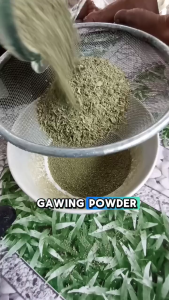 GUAVA 100g Powder 100% Natural Pure Amazing BAYABAS Powder Leaves Herbal Tea Coffee Juice - Organic for Diarrhea Diabetes Insomnia Lowers Cholesterol Fights Cancer Reduces Acne Boosts Immunity KS Kibishop