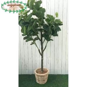 Pohon Hias Daun Mangkokan X4 T140 Semi Latex Artificial Pot Dasar Cover Anyaman Rotan Bulat Dekorasi Rumah