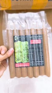 Nhang Ngãi Cứu Đại Hội Quán Bùi Quốc Châu - Thiết Bị Diện Chẩn