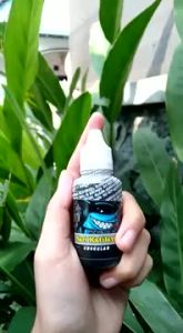 Essen Katilayu Ikan Nilem Liar Isi 30ml
