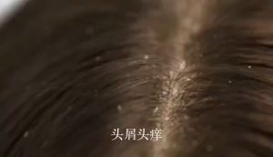 SADOER Coconut Shampoo 500ml+500G Hair mask  Oil Control Fluffy and Long-lasting   NUTRITIVE SOLUTION [ big size promotion ]椰子控油头皮屑洗发水