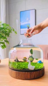 Senda phân nền thủy sinh công nghệ Nhật Bản (phân lẻ túi 2kg)