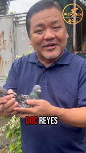 [4 BOTTLE] WingMax Champion Elite Pigeon Power Formula
