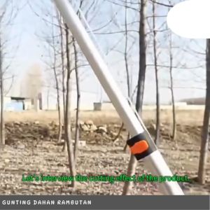 SB Gunting Dahan Tarik + Gergaji Pisau Dengan Tali +/- 23 Meter Multifungsi 2 in 1 Gergaji Graji Galah Tongkat Potong Dahan Ranting Pohon Rambutan Kopi Cengkeh Alat Kebun Gunting Dahan Pemotong Serbaguna Anti Karat Tree Pruners Saw 2in1