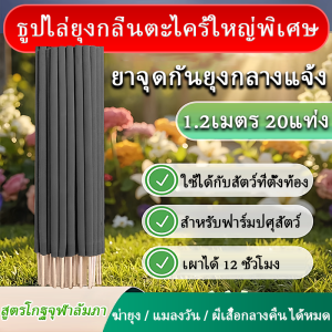 ธูปจัมโบ้ไล่ยุงกลิ่นตะไคร้หอม ธุปจัมโบ้ตะไคร้ ไล่ ยุง จุดได้ยาวนาน กำ จัด ยุง ธูปตะไคร้ไล่ยุง ยาจุดกันยุง มีการใช้ส่วนผสมที่ออกฤทธิ์ เช่น ยาสมุนไพรจีนและดอกเบญจมาศ ธูปไล่ยุง ผลิตภัณฑ์เฉพาะเพื่อลดการแพร่กระจายของโรคไวรัสและแบคทีเรีย