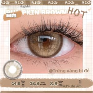 LENSFANS | Kính áp Tròng Màu Đen Trong Suốt Dùng Một Ngày Đường Kính Lớn 10 Gói