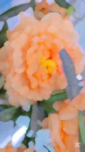 Bộ Dầu Gội Xả Voudioty Keratin X9 Biotin & Collagen Giúp Chăm Sóc Tóc 500ml hàng chính hãng