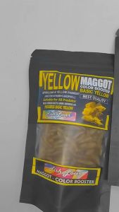 Yellow Maggot Fishlover