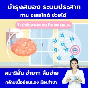 ิอเลอไทด์ Alertide ชุดทดลอง 5 เม็ด เพื่อสุขภาพสมองที่ดี ระบบประสาทและการจดจำ มีสมาธิ ของแท้ 100%