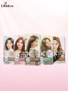 KAO | New Misty Brown Bubble Hair Dye