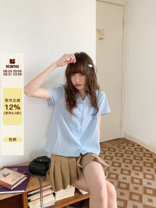 Large Collar Fine Check Loose Short Sleeve Shirt Blue Casual 1PC