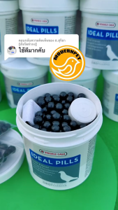 Ideal Pills Versele-Laga: The Perfect Supplement for Racing Pigeons