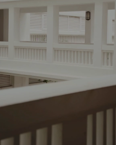 Petale Dreams (Storytelling Tin)