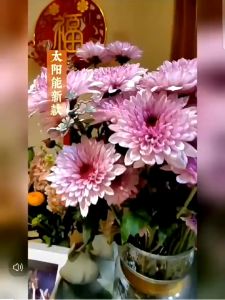 Patung Boneka Kucing Hoki & Lucky Cat Solar Pajangan Dashboard