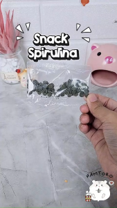 Hamtoro Tablet Spirulina Snack Hamster Sugar Glider Kucing / Vitamin Hamster Kelinci Ikan