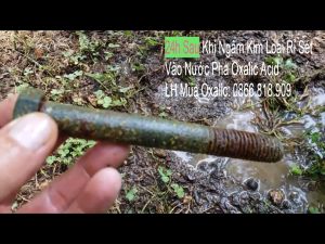 Acid Oxalic Tẩy Rỉ Sét - Vết Ố Vải - Tẩy Bảng In