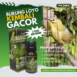 VITAMIN BURUNG BERKICAU RE CHARGE KENARI CENDET KACER MURAI TETESKAN KE MAKANAN BURUNG