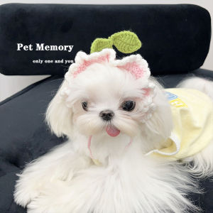 Adorable Pet Dog Headwear Small Flower Knitted Hat Sun Hat Universal Pet Memory Brand Cat And Dog Accessories Pet Supplies