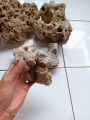 batu karang laut / 1 kg. 