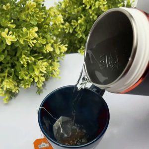 Samu Giken Stainless Steel Portable Kettle Bottle Warmer 450ML – Model: PEK450WT/GY