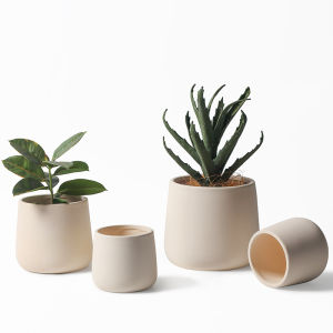 Nordic Style Fired Ceramic Planter Simple and Elegant Design