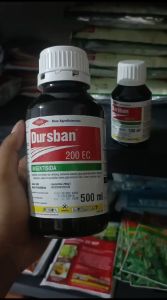 INSEKTISIDA DURSBAN 200EC KEMASAN 500ML UNTUK ULAT DAN KUTU TANAMAN