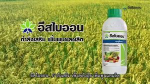 อีสไบออน (ขนาด 1 ลิตร) ลดความเครียดของพืช จากสภาวะไม่เหมาะสม เช่น น้ำมากเกินไปขาดน้ำ อากาศร้อน แล้ง